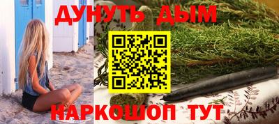 стафф Гай