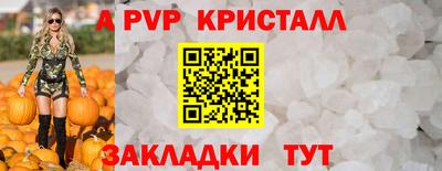 стафф Гай