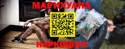 стафф Гай