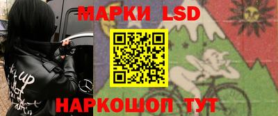 стафф Гай